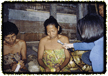 plucking corn kernels