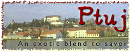 Ptuj story header graphic