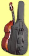 Upright Bass and Case