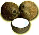 coconuts