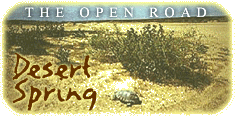 The Open Road: Desert Spring