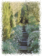 Garden Steps