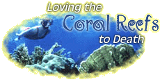 Loving the Coral Reefs to Death