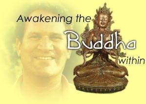 Awaken the Buddha Within