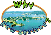 Why New Zealand?