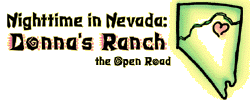 Open Road: Nevada at Night