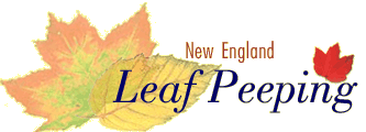 New England Leaf Peeping