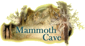 Mammoth Cave