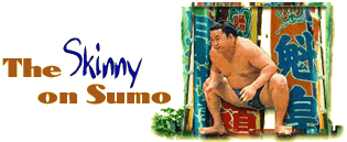 The Skinny on Sumo