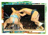 sumo match