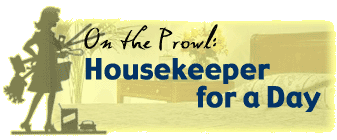 Housekeeper for a Day