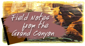 Field Notes from the Grand Canyon