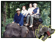 Thai Elephant Ride