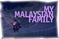 My Malaysian Family  
