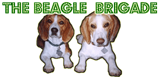 The Beagle Brigade 
