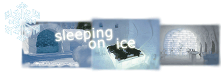 Sleeping On Ice